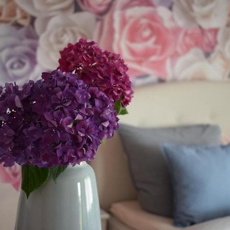 Apartment Rose 사스바흐발덴 외부 사진